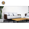 NOUVEAU SOFA DE JARDINE DE ROTAN ENSIGNE À ROTAN avec coussin